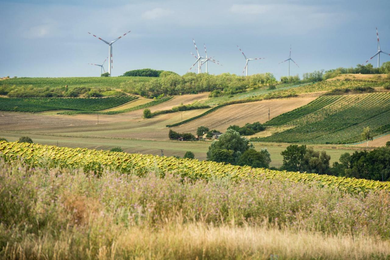 Weingut Martinshof Hotell Sankt Ulrich  Exteriör bild